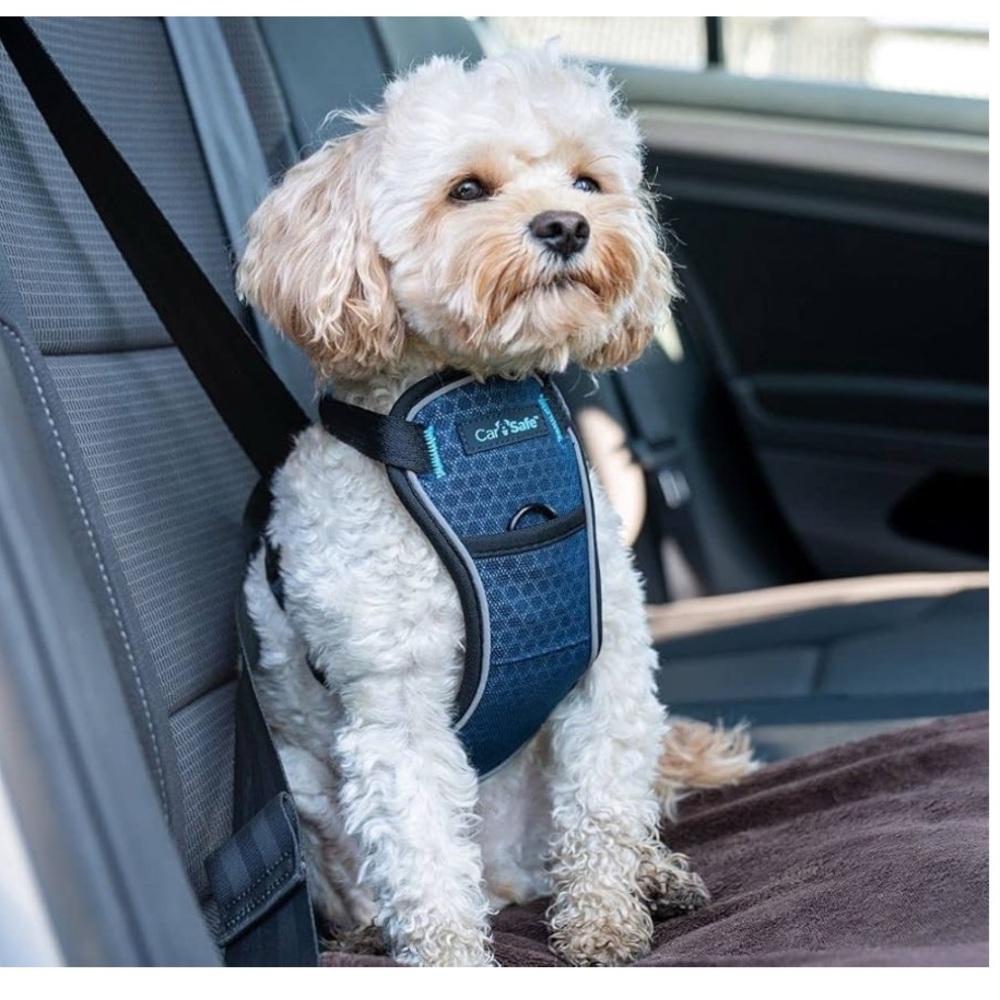 COMPANY OF ANIMALS CarSafe Crash Tested Harness - Size EXTRA SMALL *BRAND NEW*